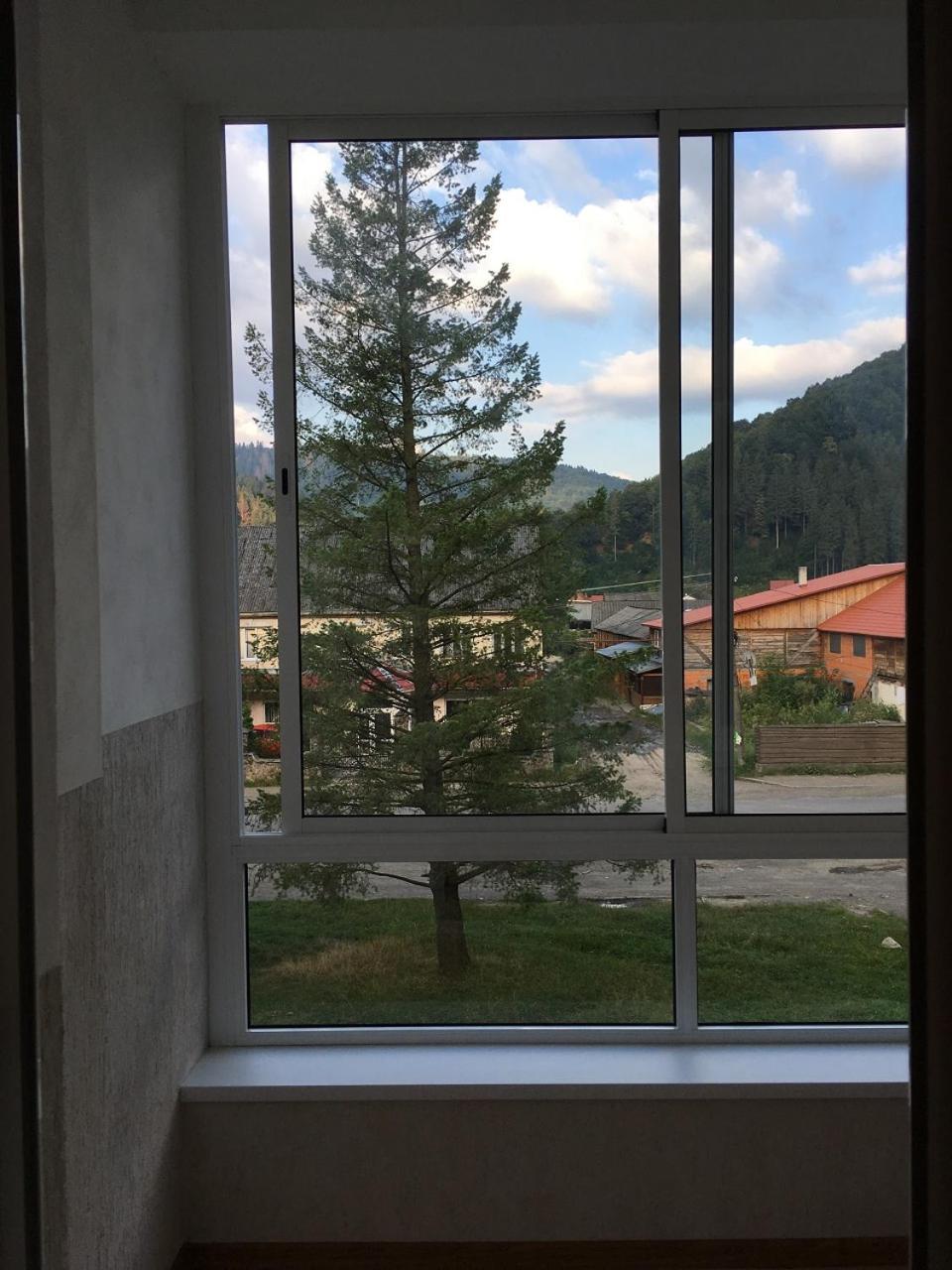 Apartaments In Karpaty Mizhhirya (Transcarpathia) Exterior photo
