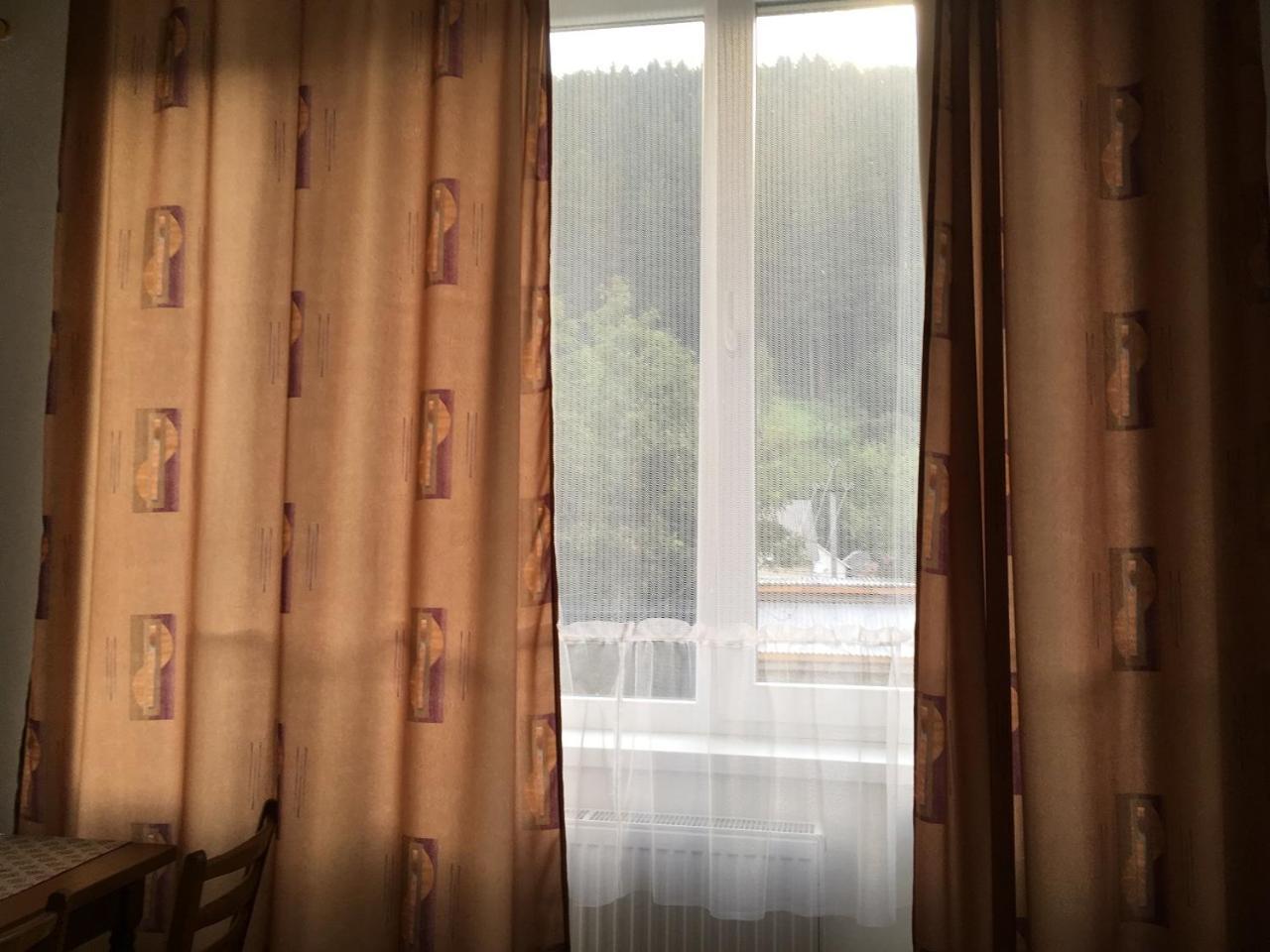 Apartaments In Karpaty Mizhhirya (Transcarpathia) Exterior photo