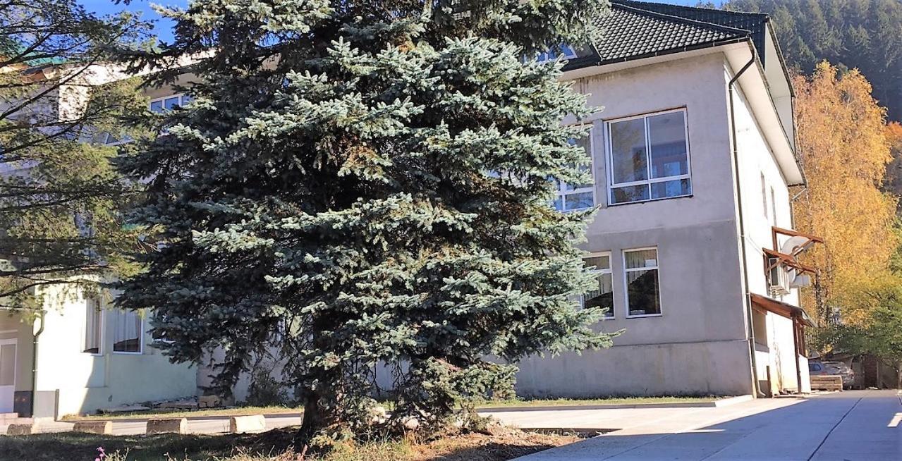 Apartaments In Karpaty Mizhhirya (Transcarpathia) Exterior photo